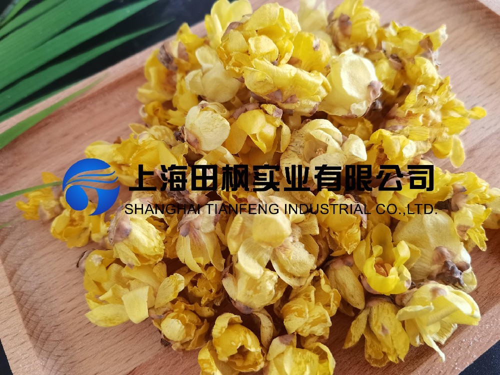 臘梅花凍干，鮮花冷凍干燥機(jī)